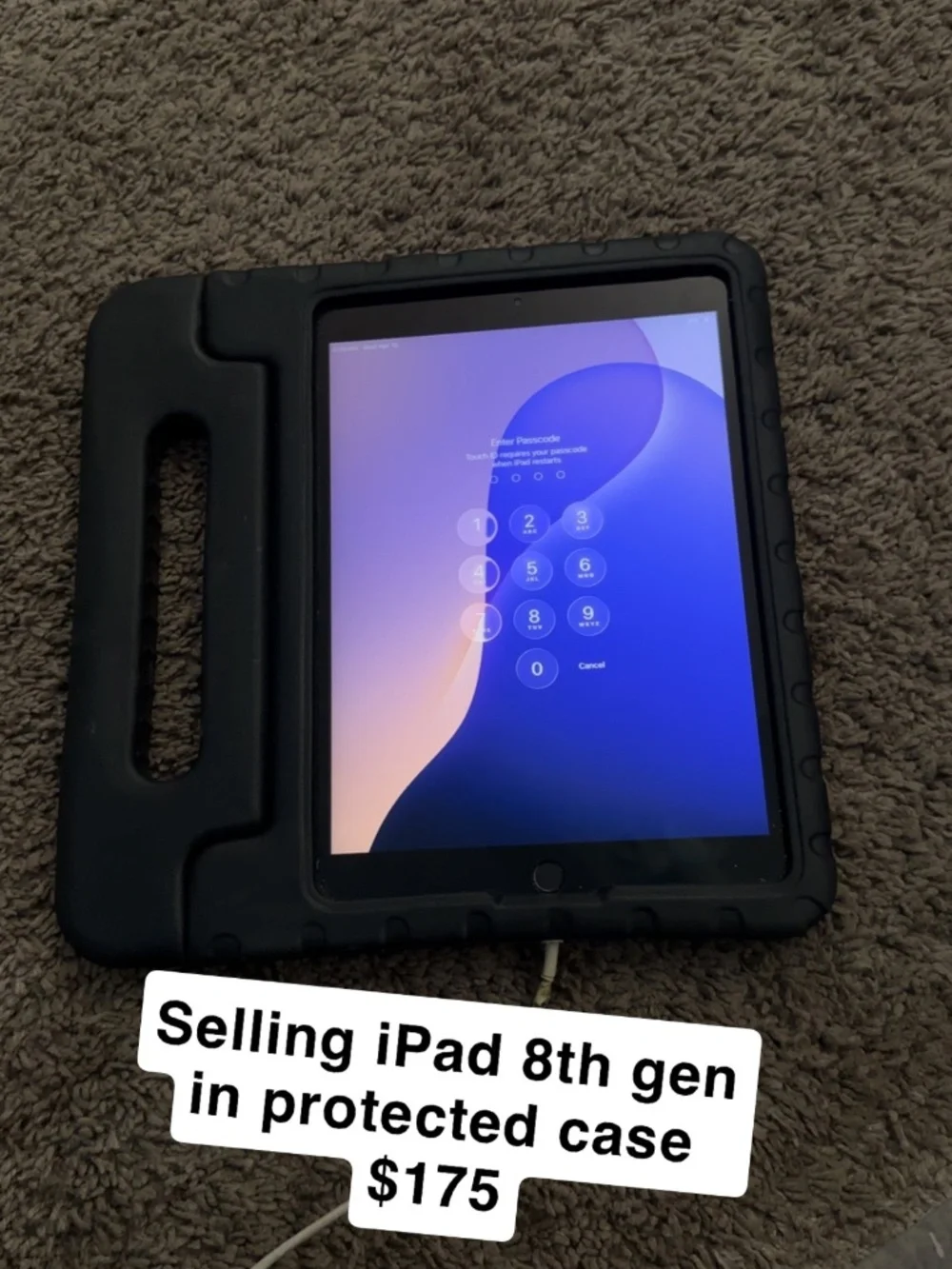 IPAD IN PROTECTED CASE